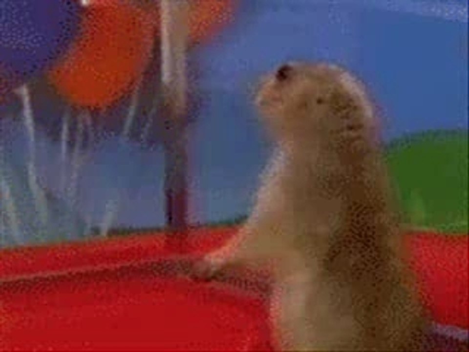 Dramatic chipmunk