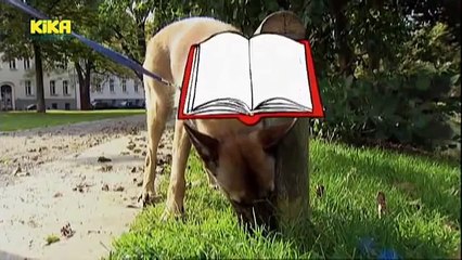 Löwenzahn 229 Hunde Keks ist verschwunden