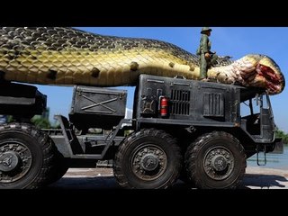Giant Snake Caught in Red Sea -