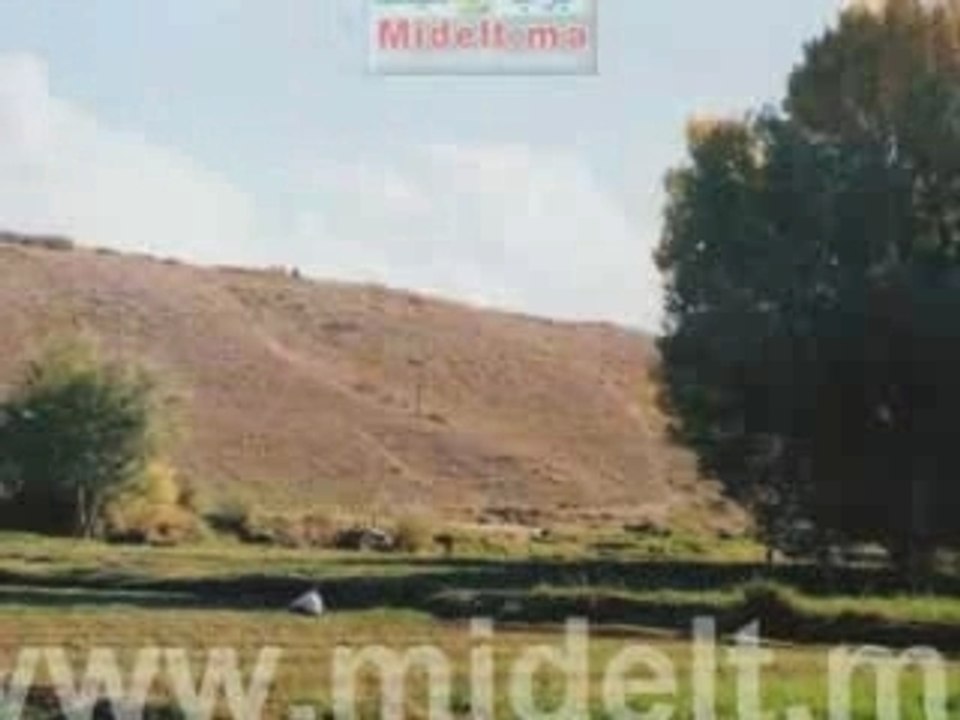 Midelt_Tamazirt_inu