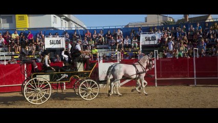 Fiestas de agosto día 18 parte 2