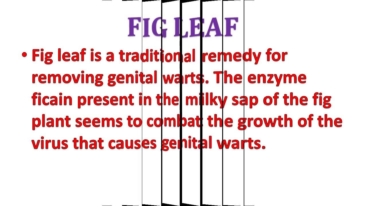 Home remedies for genital warts removal in men and women