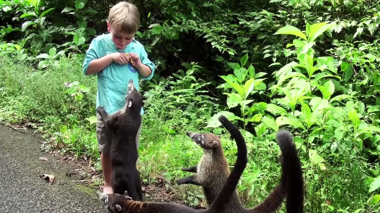 Biotologe Yann reist um die Welt