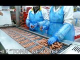 Report TV - Made in Albania viziton Fabrikën e Përpunimit të Mishit 