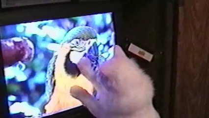 14 Animals Still Figuring Out Technology