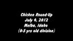 Chicken Round-Up on Fourth of July in Melba, Idaho