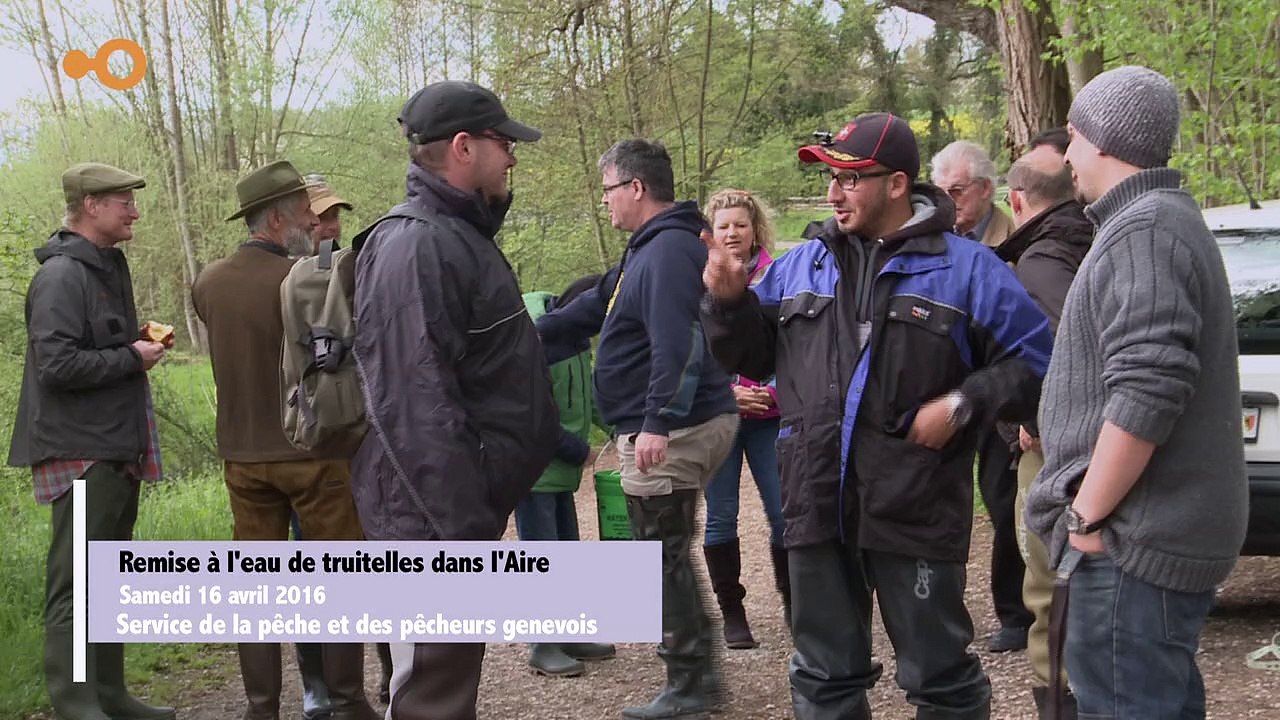 Sans commentaire: Remise à l'eau de truitelles dans l'Aire