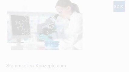 Arthrose beim Hund behandeln mit Stammzellen-Therapie