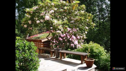 Скамейки из дерева: 53 модели