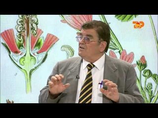 Ne Shtepine Tone, 25 Prill 2016, Pjesa 5 - Top Channel Albania - Entertainment Show