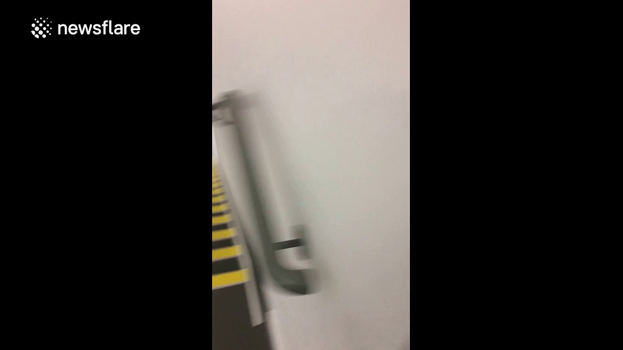 GoT theme blasted through office toilets