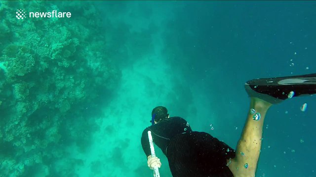 Diver performs cool bubble trick underwater