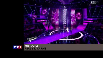 Le Zapping du 25/04  - CANAL+