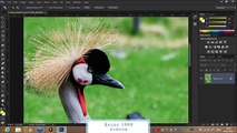 Новые возможности Adobe Creative Cloud 128