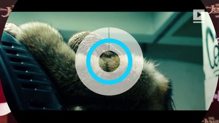 Beyonce's 'Lemonade' inspired by Jay-Z's Affair?