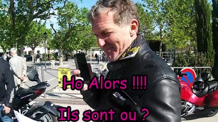 Camarguaise Jet Passion