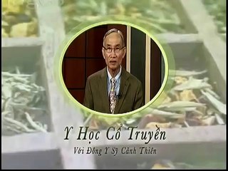 Cây nha đam những điều nên biết