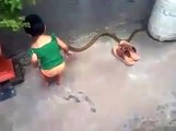 جس نے یہ ویڈیو نہیں دیکھی اسنے کچھ بھی نہیں دیکھا۔چھوٹی سی بچی سانپ سے کھیل رہی ہے - Baby Girl Playing With Snake