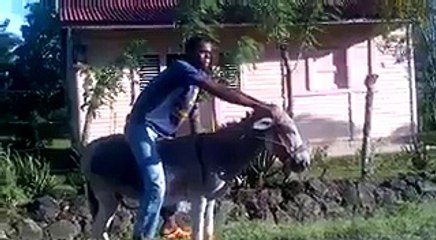 New Funny Video 2016 - Funny Movies  - Dailymotion Funny Videos - Tubeinto.com