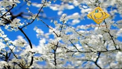 Dorehami Ep 13 Part 2-سریال دورهمی قسمت سیزدهم