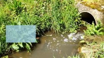 Ecologistas denuncian vertido de aguas negras al río Barayo, Navia, Asturias