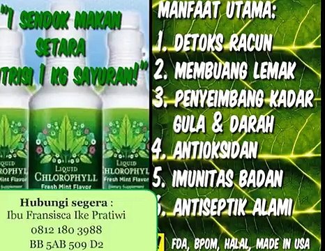 0812-180-3988, Jual Klorofil Di Pekanbaru, Jual Klorofil Di Palembang