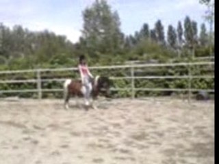 Moi et caramel avec licol