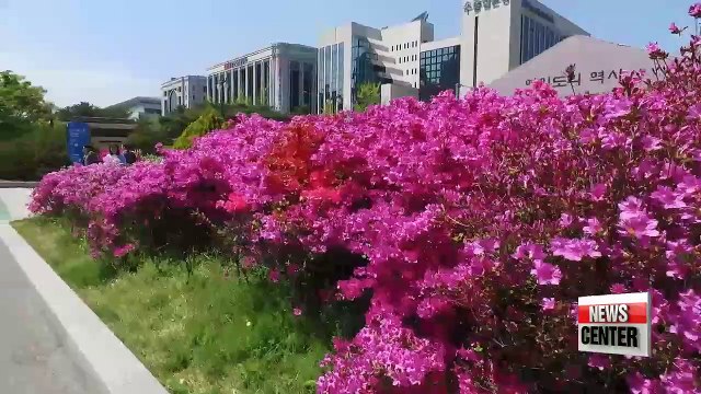 Current state of employment of people with disabilities in Korea