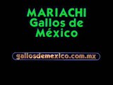 Mariachi Gallos De México en Discovery Atlas