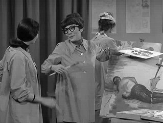 The Dick Van Dyke Show S05e06