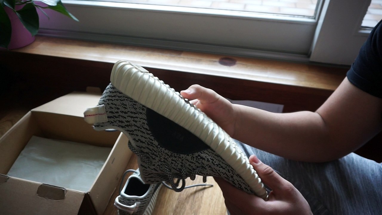 YEEZY 350