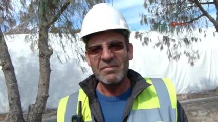 Bodrum'da Taşındığı Yerde Kuruyunca Yeşile Boyanan O Ağaçlar Söküldü