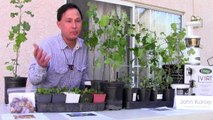 How to Grow & Use Sprouts, Microgreens & Green Vegetables Indoors or Out