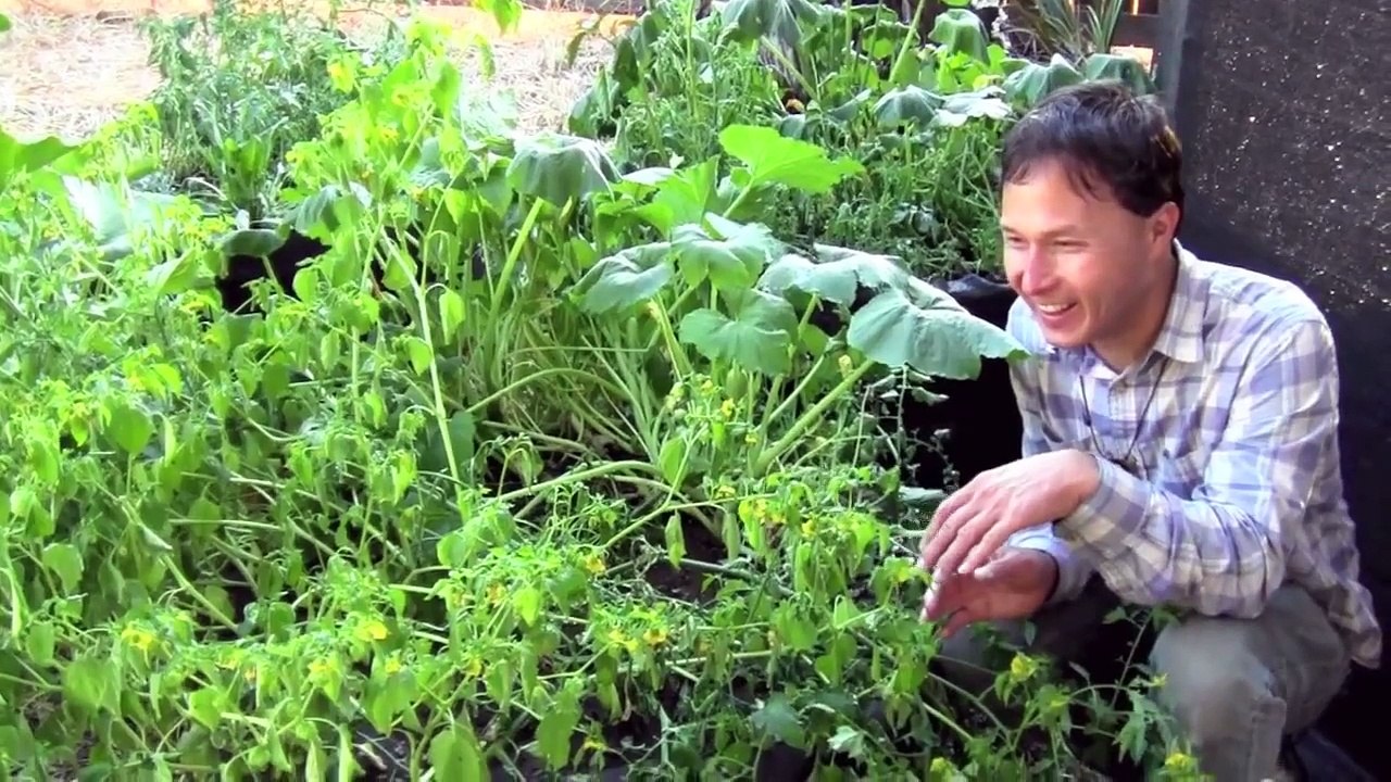 Small Space Permaculture Food Forest Garden on 1/4 Acre Home Lot