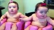 Funny Twin babies Laughing, Crying, and then Laughing again