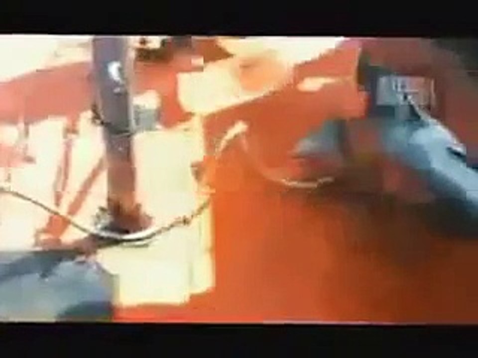 Video clip 10 vụ Cá Mập tấn công kinh hoàng nhất năm 2014