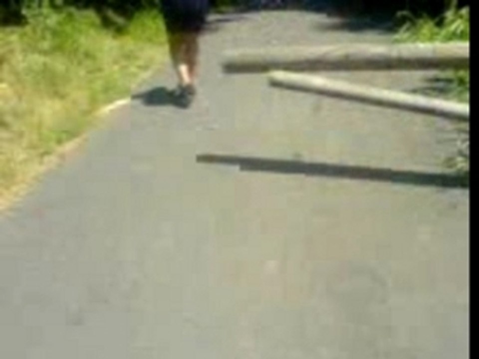 Délires trotinette!!