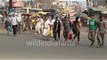 Nobody maintain traffic signal rules in kolkata busy road :wildindiafilms