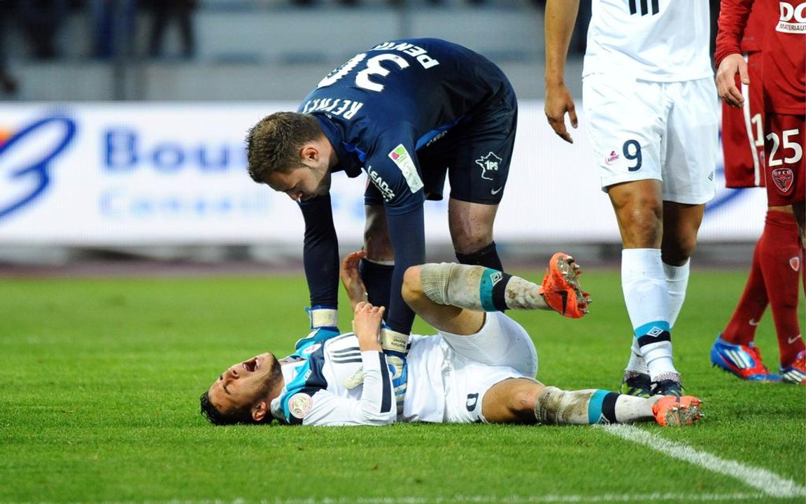 ✧ Die dümmsten und lustigsten Schwalben aller Zeiten ✧ April 2016 ✧