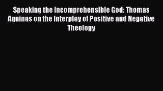 Book Speaking the Incomprehensible God: Thomas Aquinas on the Interplay of Positive and Negative