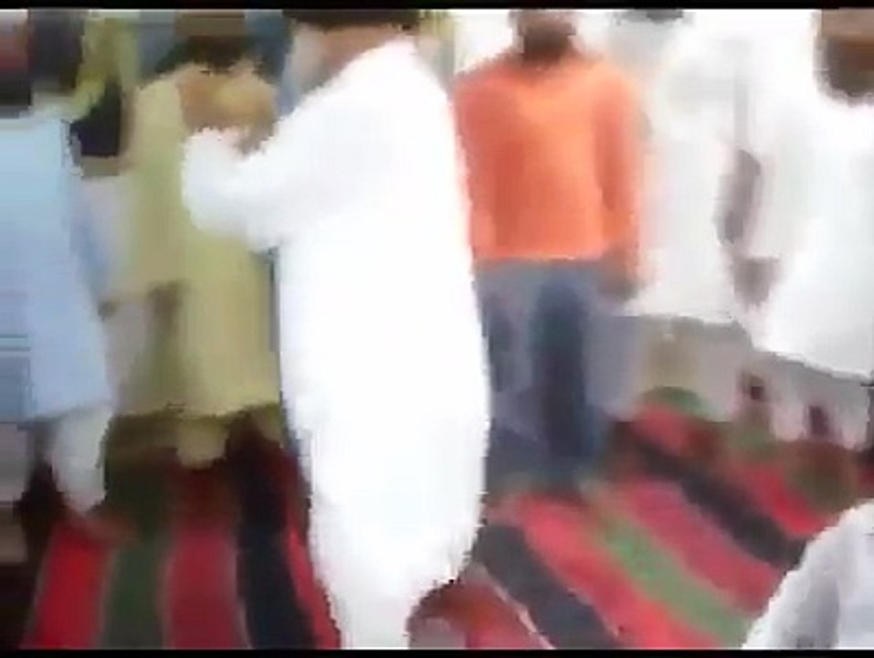 funny videos