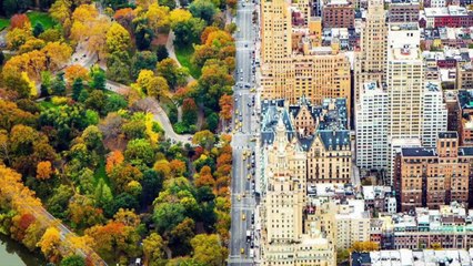 Englishman In New York