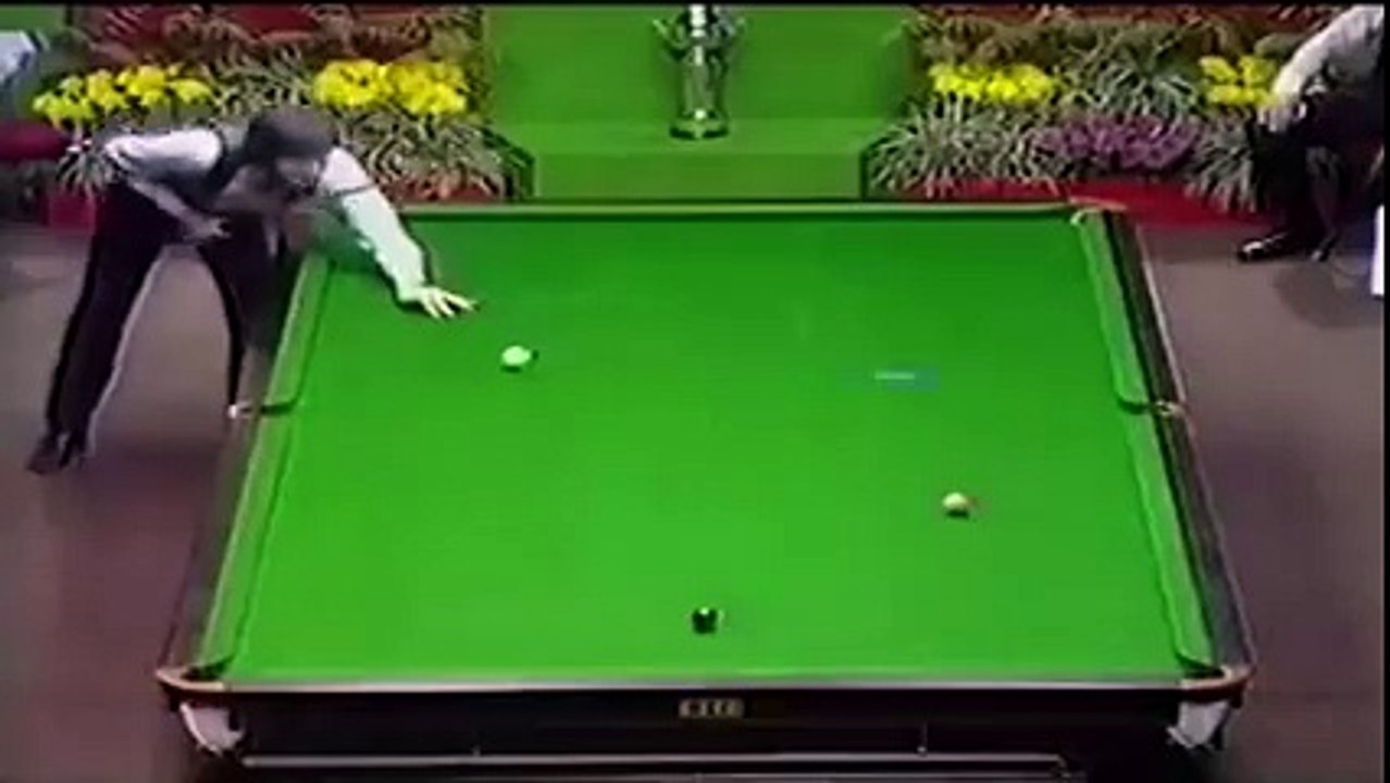funny videos