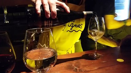 Immersion au Festival Hors les vignes