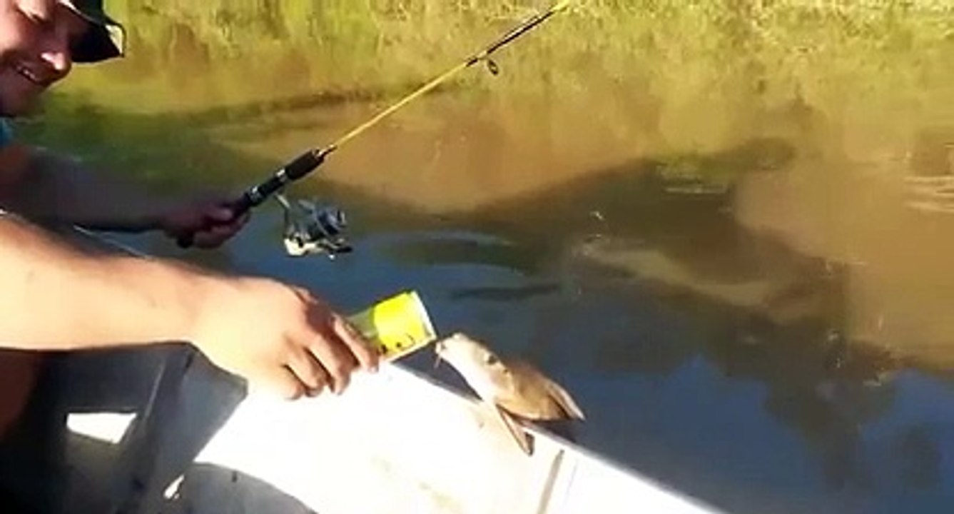 Ce poisson en a marre de l'eau... Donc il se met à la bière !