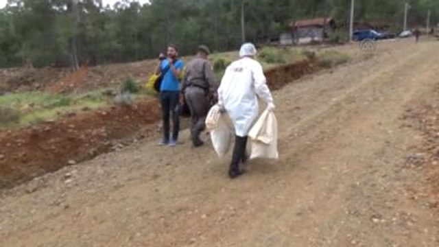 Ormanlık Alanda Kadın Cesedi Bulundu