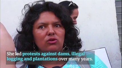 Berta Cáceres: an outspoken voice for the environment is silenced
