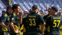 top 10 run out in history of cricket ever seen