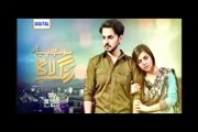 Mohe Piya Rung Laaga Episode 56 in HD Top Drama - 25 Apr 2016