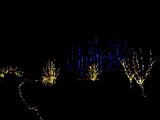 Nbg Garden Of Lights Video Dailymotion
